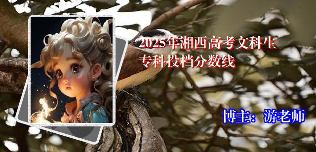 2025年湘西高考文科生专科投档分数线