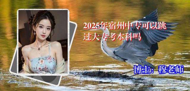 2025年宿州中专可以跳过大专考本科吗
