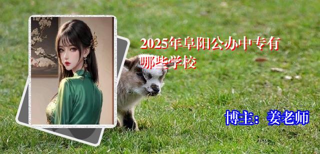 2025年阜阳公办中专有哪些学校