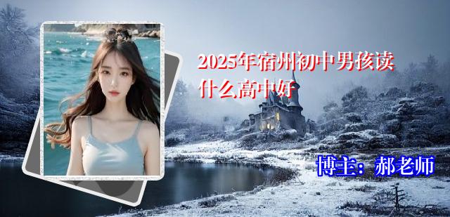 2025年宿州初中男孩读什么高中好