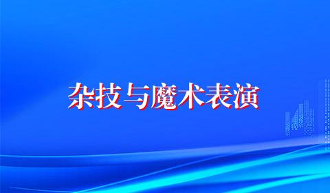 杂技与魔术表演