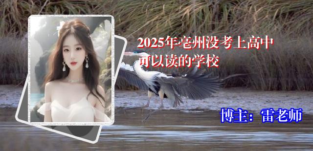 2025年亳州没考上高中可以读的学校
