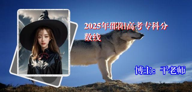 2025年邵阳高考专科分数线