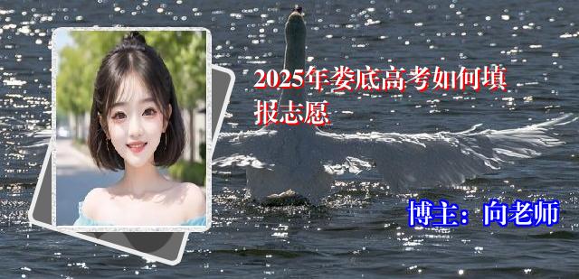 2025年娄底高考如何填报志愿