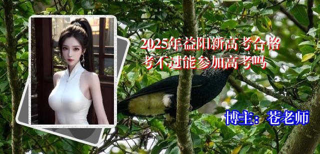 2025年益阳新高考合格考不过能参加高考吗