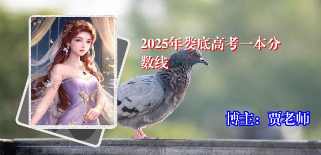 2025年娄底高考一本分数线