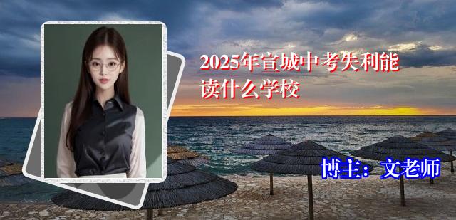 2025年宣城中考失利能读什么学校