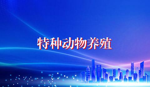 特种动物养殖