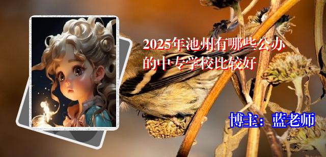 2025年池州有哪些公办的中专学校比较好