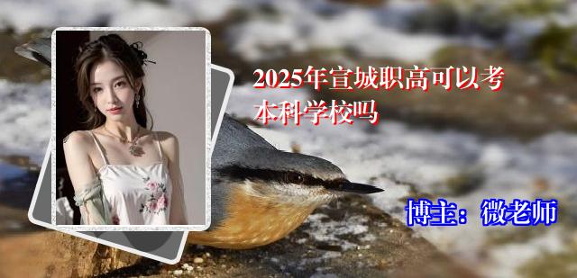 2025年宣城职高可以考本科学校吗