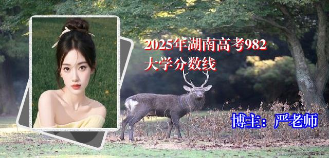 2025年湖南高考982大学分数线