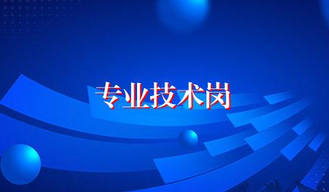 专业技术岗