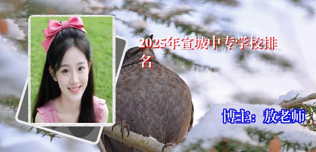 2025年宣城中专学校排名