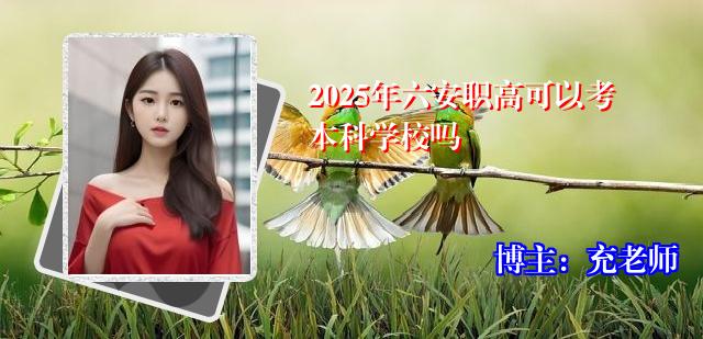 2025年六安职高可以考本科学校吗