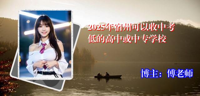 2025年宿州可以收中考低的高中或中专学校