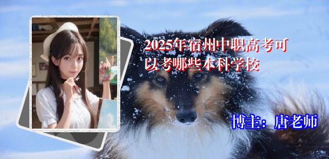2025年宿州中职高考可以考哪些本科学校