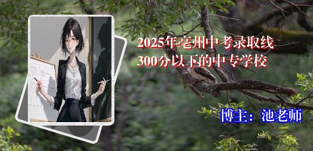 2025年亳州中考录取线300分以下的中专学校