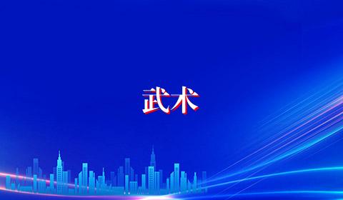 武术