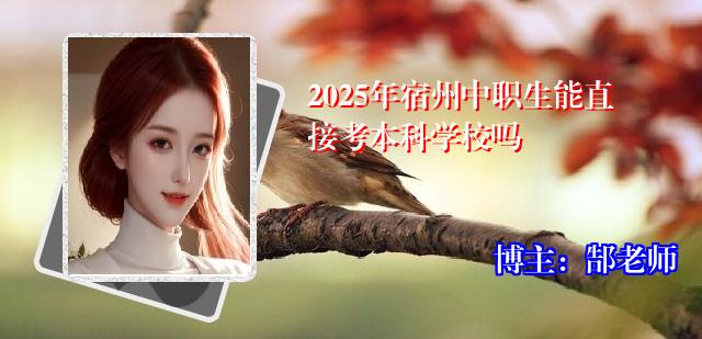 2025年宿州中职生能直接考本科学校吗