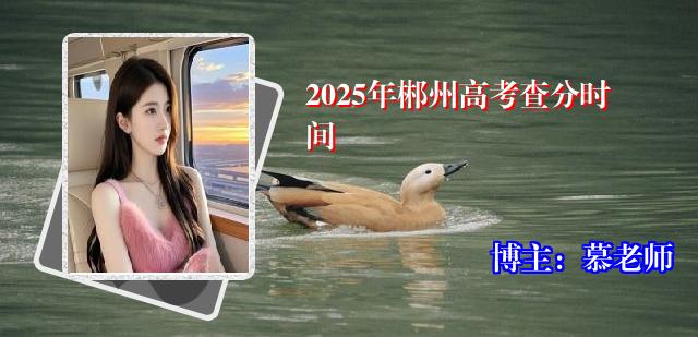 2025年郴州高考查分时间