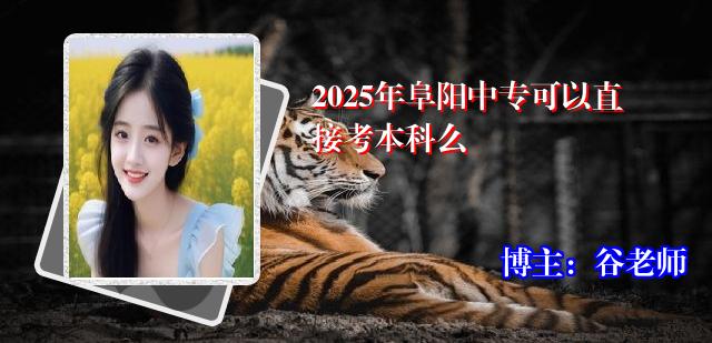 2025年阜阳中专可以直接考本科么