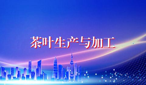 茶叶生产与加工