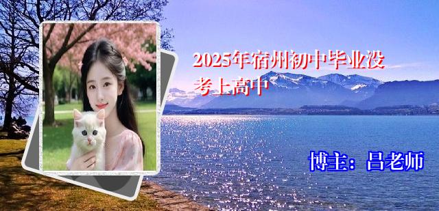 2025年宿州初中毕业没考上高中