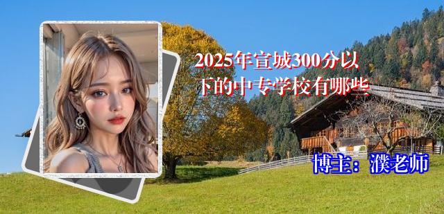 2025年宣城300分以下的中专学校有哪些