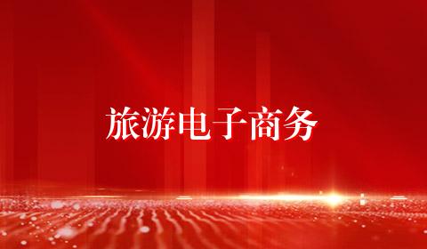 旅游电子商务