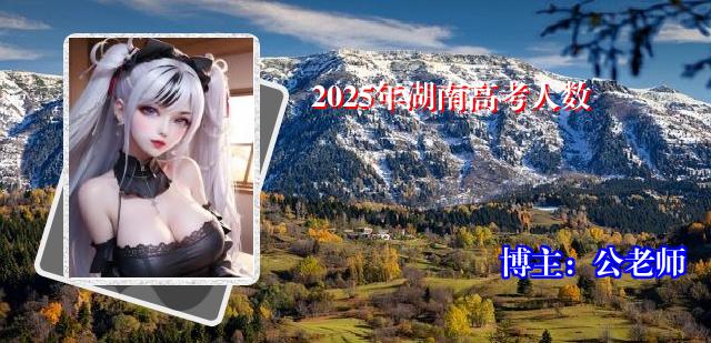 2025年湖南高考人数