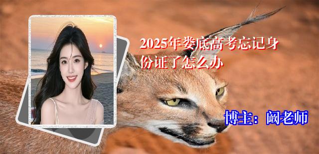2025年娄底高考忘记身份证了怎么办