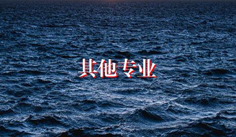 其他专业