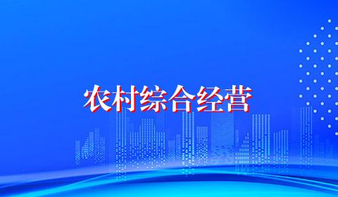 农村综合经营
