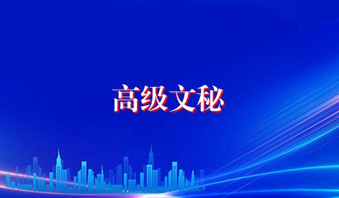 高级文秘