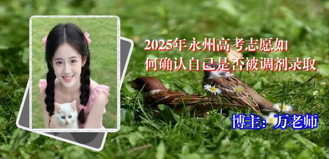2025年永州高考志愿如何确认自己是否被调剂录取