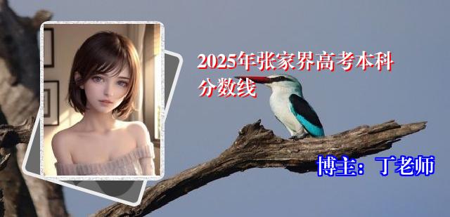 2025年张家界高考本科分数线