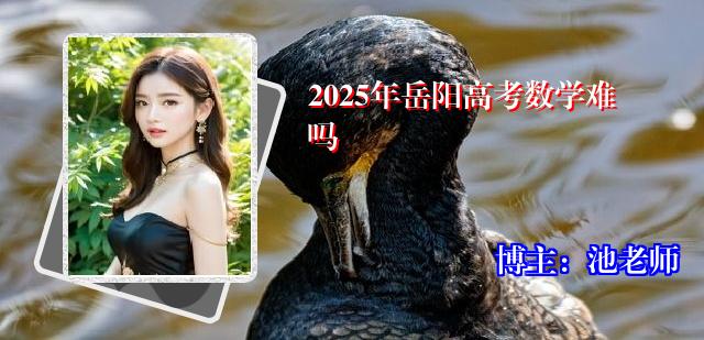 2025年岳阳高考数学难吗