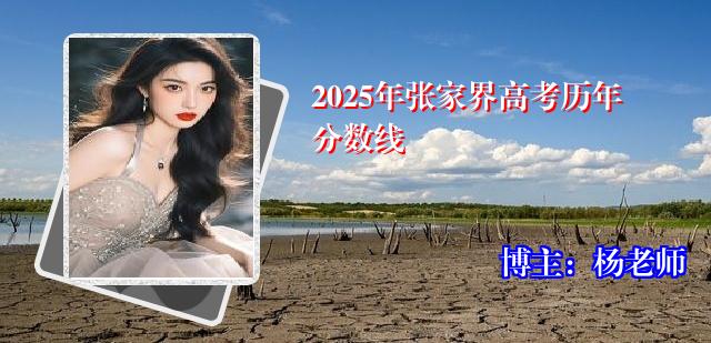 2025年张家界高考历年分数线