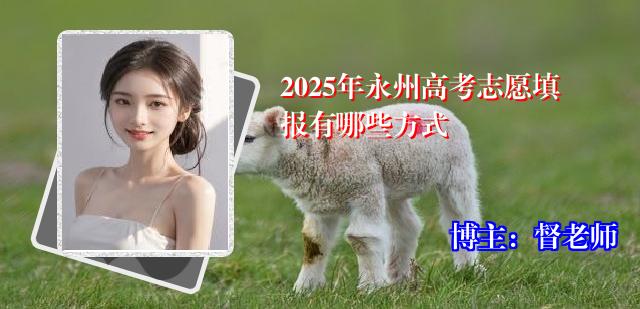 2025年永州高考志愿填报有哪些方式