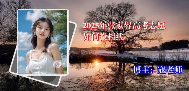 2025年张家界高考志愿如何投档线