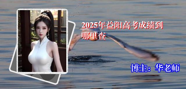 2025年益阳高考成绩到哪里查