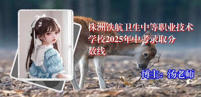 株洲铁航卫生中等职业技术学校2025年中考录取分数线