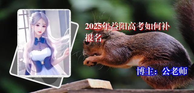 2025年益阳高考如何补报名