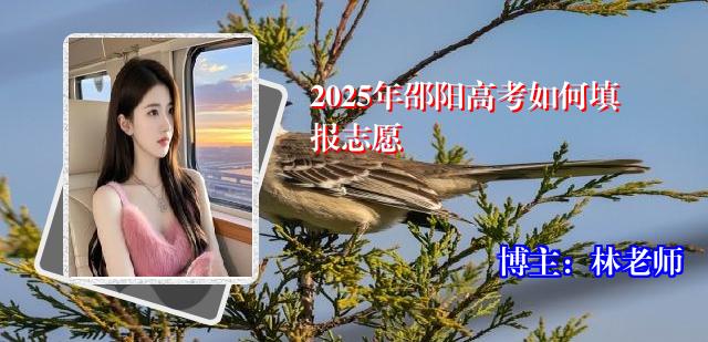 2025年邵阳高考如何填报志愿