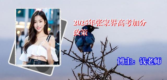 2025年张家界高考加分政策