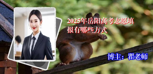 2025年岳阳高考志愿填报有哪些方式