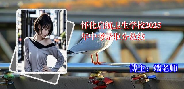怀化启航卫生学校2025年中考录取分数线