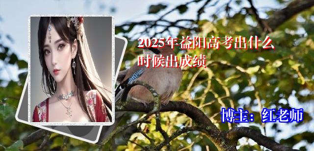 2025年益阳高考出什么时候出成绩