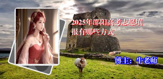 2025年邵阳高考志愿填报有哪些方式