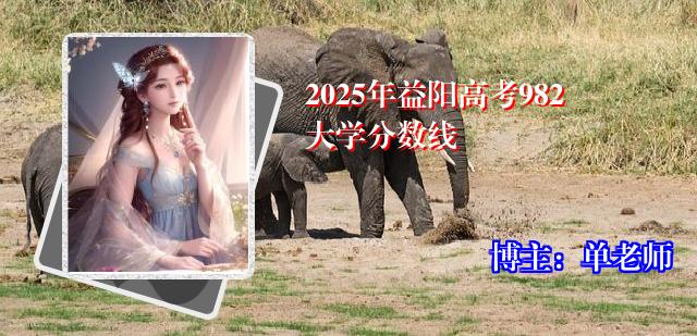 2025年益阳高考982大学分数线